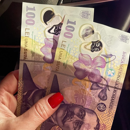 Plata indemnizațiilor pentru președinții și membrii sectiilor de votare ale alegerilor prezidențiale din acest an s-a realizat deja, anunță sursele. Potrivit newsbv.ro, viramentele pentru plata indemnizațiilor au fost făcute pentru președinții, locțiitorii și membrii sectiilor de votare implicați în tururile I și II ale alegerilor, din 4 mai și 18 mai, acestea fiind plasate în conturile beneficiarilor după ora 12:00.