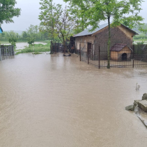 Inundatii grave in judetul Covasna: sute de gospodarii afectate si localitati izolate