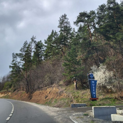 Parc fotovoltaic planificat pe teren de peste 35.000 mp, conform cererii de acord de mediu