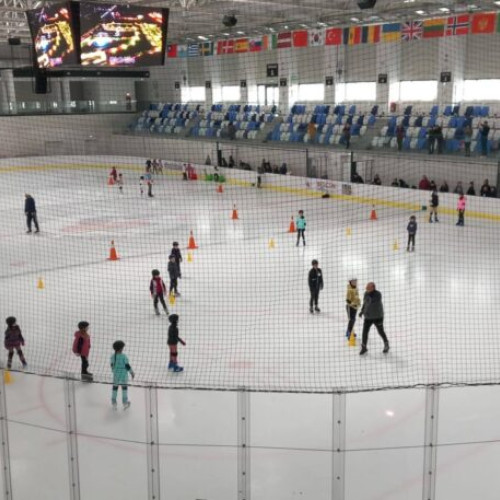 Prima ediție a programului „Crestem campioni” se încheie cu peste 800 de copii care au urmat cursuri de inițiere în patinaj