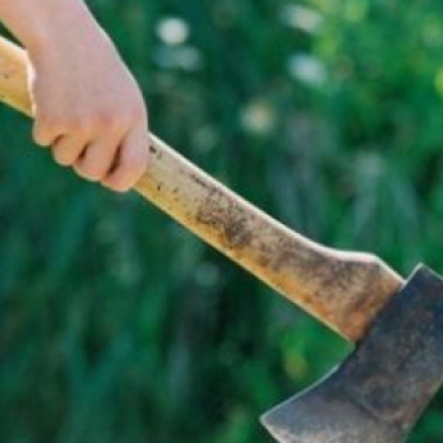 Doi indivizi, reținuți pentru ultraj și tulburarea ordinii publice