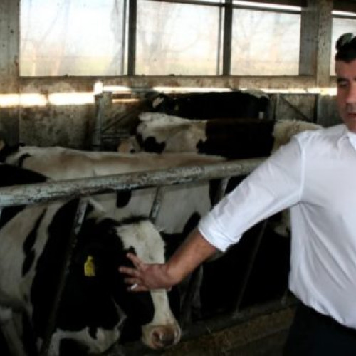 Fermier vrâncean își primește despăgubiri de peste 12,5 milioane de euro pentru distrugerea fermei de către autostrada A7