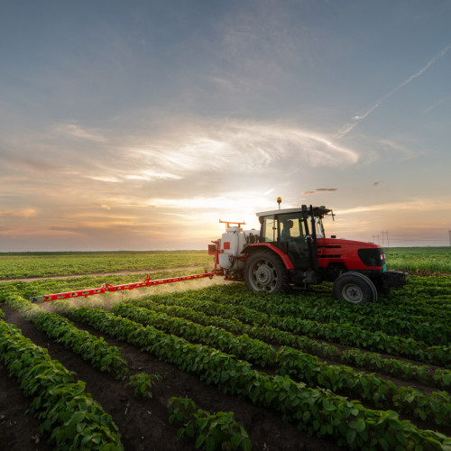 Fermierii arendași trebuie să respecte obligații fiscale noi începând cu anul 2025, conform unui ghid publicat de Agenția Națională de Administrare Fiscală (ANAF). Potrivit monitorulneamt.ro, ANAF arată că veniturile obținute din arendarea terenurilor agricole sunt considerate venituri din cedarea folosinței bunurilor și trebuie declarate în mod corespunzător.