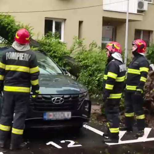 Copaci doborâți peste mașini și inundații în București în urma ploilor torențiale