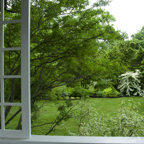 Șapte pași esențiali pentru un aer mai curat în casă în timpul curățeniei de mai