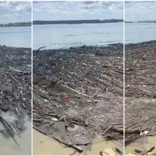 Malul Dunării, plin de gunoaie, afectează zona din Galați