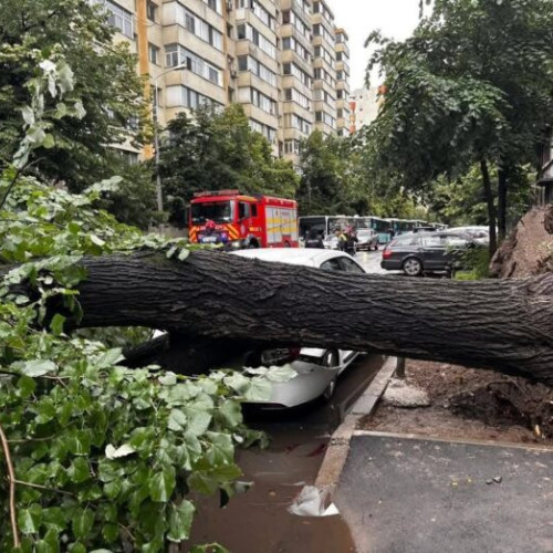 Un copac doborât de vânt a avariat o mașină în Sectorul 2, transmite primarul Rares Hopinca. Potrivit acestuia, situația reprezintă o problemă gravă care trebuie rezolvată urgent, iar primarul afirmă că astfel de incidente nu ar trebui să se mai repete. Este un exemplu din mai multe, susține Hopinca, deoarece ploaia și vântul puternic cauzează frecvent pagube și pun în pericol viețile și bunurile locuitorilor.