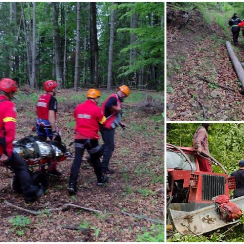 Un muncitor a decedat în județul Bacău, în zona Ciobanus. Potrivit unor surse citate de ziaruldebacau.ro, el lucra în munții Ciucului când a avut loc incidentul.