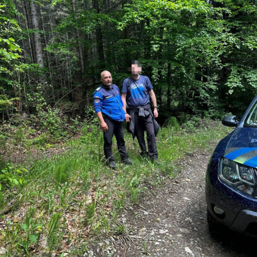 Intervenție a jandarmilor montani din Vrancea după întâlnirea cu un urs pe traseu