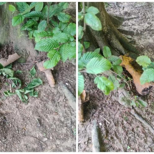 Descoperire suspectă în Florești. Poliția și ISU Cluj intervin