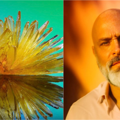 Akasha Song, traficant de DMT în SUA, a fost arestat după ce a construit un imperiu al drogurilor psihedelice