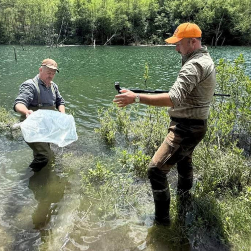 Repopulare cu peste la barajul Mihoesti de către AJPVS Alba