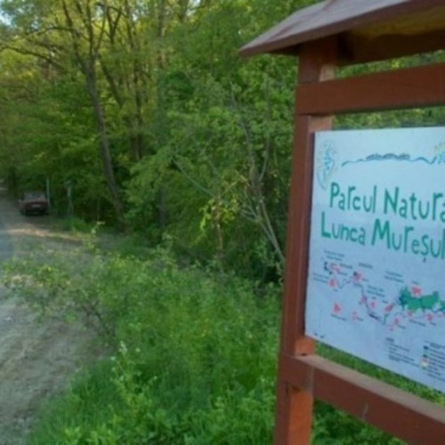 Acțiuni împotriva braconajului în Parcul Natural Lunca Mureșului
