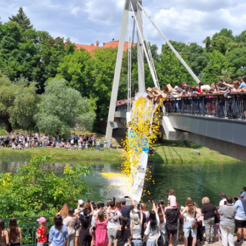 Mii de ratuste de cauciuc au fost lansate ieri pe apele Crisului Repede, într-un eveniment plin de culoare și voie bună. Potrivit crisana.ro, scena s-a desfășurat pe malurile râului, unde sute de părinți și copii s-au adunat pentru a urmări cursa. Înainte de start, sute de copii au numărat în cor: „Zece, nouă, opt, șapte... trei, doi, unu, start”, apoi zeci de mii de ratuste galbene s-au lansat în apă, în aplauze și chiote de bucurie.