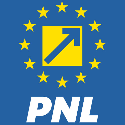 PNL se pregătește pentru alegerea noului președinte în cadrul unei ședințe a conducerii