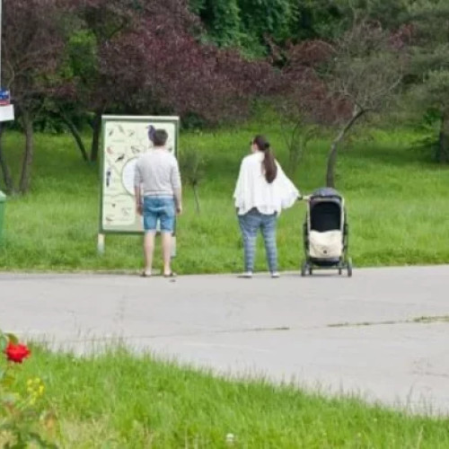 Situație critică în județ: lipsa evidenței clare a parcurilor dendrologice