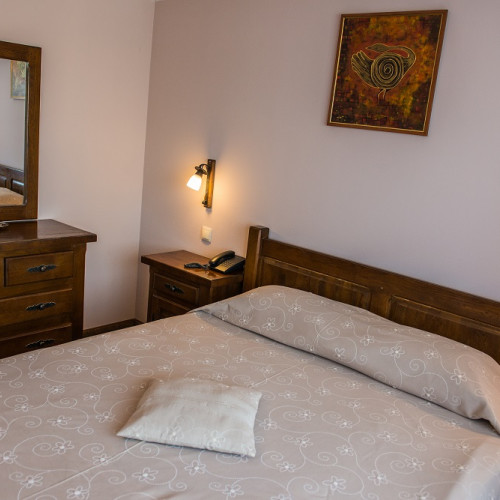 Un om de afaceri din Botoșani planifică construcția unui hotel de lux