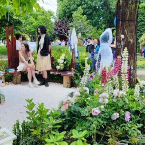 West Side Flower Fest a atras peste 300.000 de vizitatori în trei zile, evenimentul fiind organizat în Parcul Drumul Taberei, potrivit newsbucuresti.ro. Evenimentul a transformat parcul într-o adevărată grădină de poveste, plină de flori, și a inclus concerte, ateliere și momente artistice pentru toate vârstele.