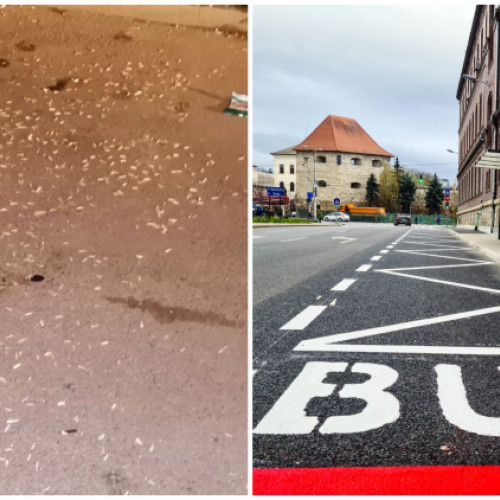 Statia de autobuz din Cluj-Napoca a devenit un loc nesigur si insalubru, potrivit unei sesizari depuse la primarie. Conform stiridecluj.ro, un localnic semnaleaza ca, in ultimele trei saptamani, zona de pe strada Donath, in cartierul Grigorescu, a fost martorul unor scene si imprejurari neplacute in fiecare noapte.