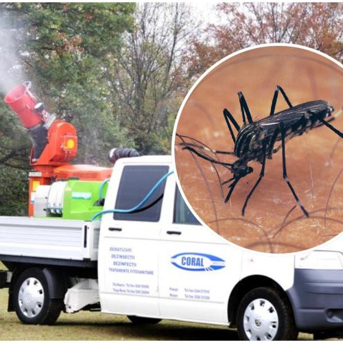 Operatiune anti-furt: polițiștii au descins în două județe pentru evaziune fiscală