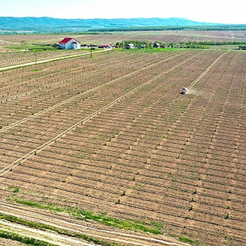 Dorin Bob, antreprenor de succes din Transilvania, a obținut două finanțări europene în valoare totală de 4,6 milioane de euro, potrivit satumareonline.ro. Aceste fonduri au fost alocate pentru extinderea activităților agricole în județul Satu Mare, prin crearea de noi plantații de aluni, reconversia unei livezi existente, instalarea de sisteme moderne de irigații și dotarea cu echipamente de ultimă generație.