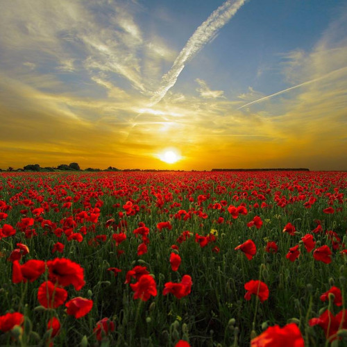 Vremea revine la normal în județul Dâmbovița după o perioadă mohorâtă