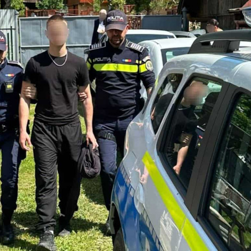 Tânăr de 18 ani suspectat de incendiere a distrus două autoutilitare în Salciua