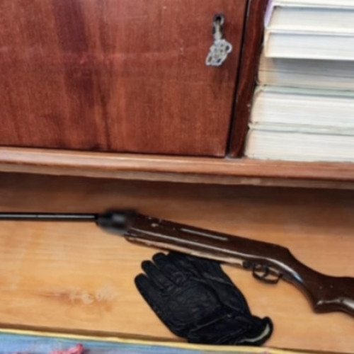 Percheziții la București într-un dosar privind armele ilegale