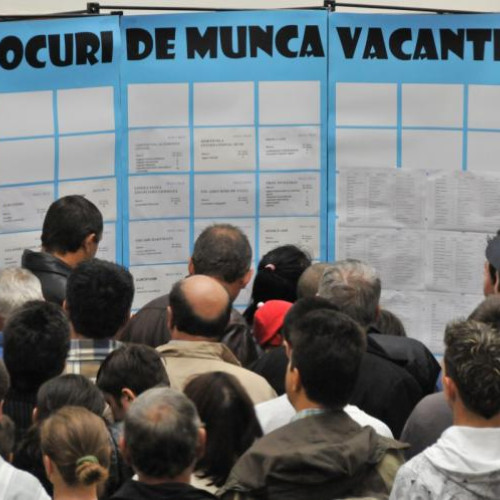 Despășurarea ratei șomajului în Cluj: tendințe și diferențe între categorii de vârstă și sexe