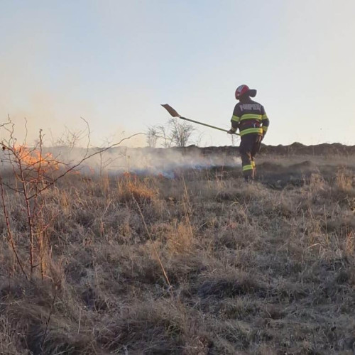 Incendiu de vegetație uscată pe DN 7, între Balomiru de Camp și Tartaria