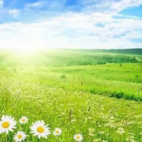 Vreme caldă și temperaturi peste 30 de grade în țară