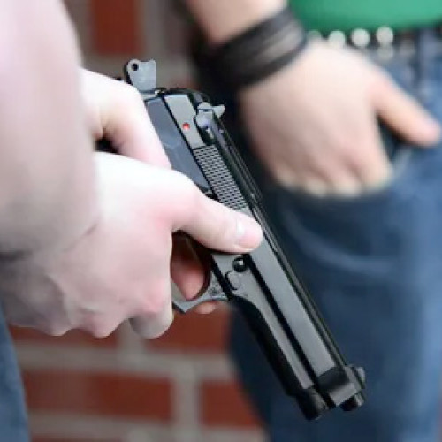 Titlu: Individ din Deva, condamnat la suspendare pentru folosirea unui pistol de jucarie și încălcarea unui ordin de protecție