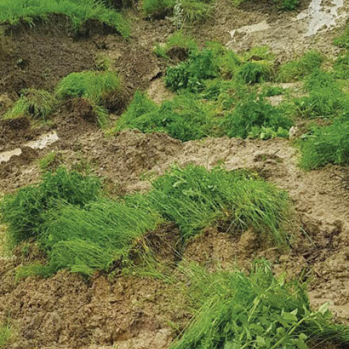 Persoană suspectată de fraudă, arestată de polițiști