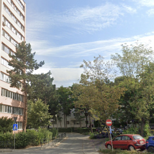 Ciori zgomotoase din cartierul Mănășur creează disconfort pentru localnici