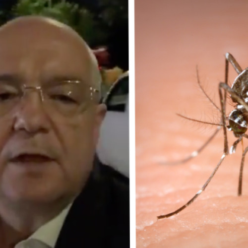 Campanie de dezinsectie la Cluj-Napoca pentru combaterea tantarilor