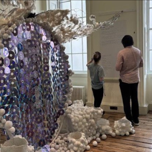 Terenul de joacă sustenabil din Cluj reflectă teme actuale, precum schimbările climatice și impactul acestora asupra mediului. Potrivit stiridecluj.ro, instalatia aduce în prim-plan contribuția artiștilor și inițiativelor din România și Republica Moldova. Lucrarea principală constă într-o structură sferică realizată din peste 500 de CD-uri colectate, în jurul căreia se dezvoltă forme organice inspirate de cuiburi și aripi. Întreg pavilionul este construit din materiale reciclate, precum 500 kg de hârtie, 10.000 de piese de plastic provenite din echipamente medicale, inclusiv electrozi EKG, și 20 kg de sârmă de cupru.