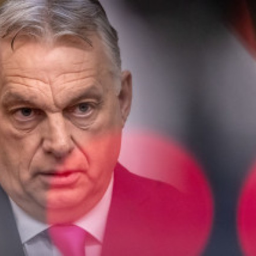 Copac căzut pe tramvai în zona Piața George Coșbuc din Sectorul 5 al Capitalei