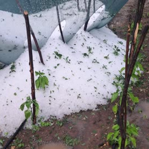 Furtuna din Vrancea a cauzat pagube semnificative în zonele afectate