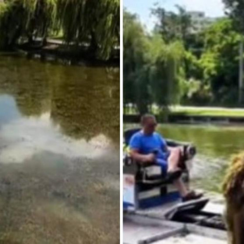 Lacul din cartierul Gheorgheni, Cluj-Napoca, suferă de o acumulare importantă de alge, ceea ce afectează calitatea apei și aspectul estetic al zonei, potrivit stiridecluj.ro. Cetățenii au făcut sesizări, iar autoritățile locale au început o acțiune de curățare a lacului pentru a restabili frumusețea zonei și pentru a evita probleme ecologice.