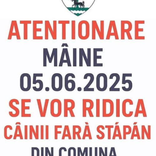 Acțiune importantă pentru comunitatea din Salcioara: ridicarea câinilor fără stăpân