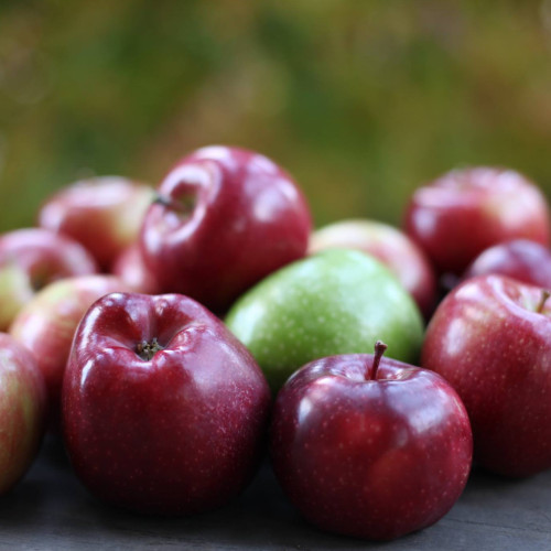 Paradoxul merelor românești: deși suntem al cincilea producător din UE, merele autohtone sunt tot mai rare pe piață