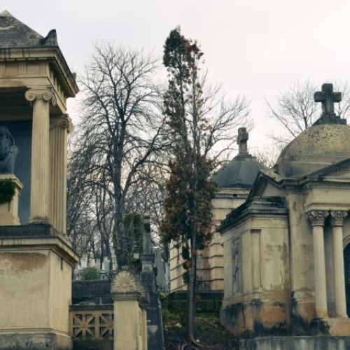 Dispozitiv de alungare a păsărilor deranjează locuitorii din Cluj-Napoca