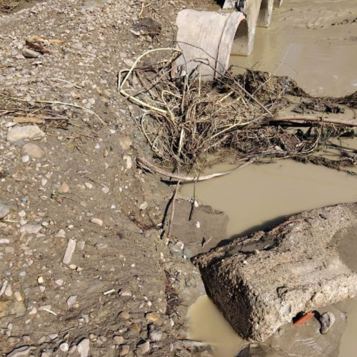 Ploile torențiale și grindina au provocat pagube în comuna Gura Căluțești