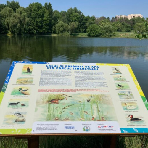 Evenimente pentru Ziua Mondială a Mediului în București