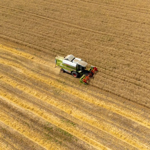 Indicele global al prețurilor alimentare a înregistrat o scădere în luna mai, datorită reducerii cotizațiilor la cereale, zahăr și uleiuri vegetale, potrivit FAO, citează digi24.ro. Organizația Națiunilor Unite pentru Alimentație și Agricultură (FAO) a anunțat că, în luna mai 2025, indicele Food Price Index a avut o valoare medie de 127,7 puncte, în scădere cu 0,8% față de luna aprilie.