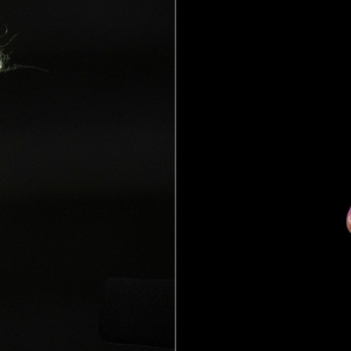 Rusia ar putea oferi azil politic lui Elon Musk, potrivit declarațiilor lui Dmitri Novikov, vicepreședinte al Comitetului pentru afaceri internaționale din Duma, notează digi24.ro. Novikov a afirmat că Musk „joaca un joc complet diferit” și că, deși nu are nevoie de azil, dacă ar avea, Rusia i l-ar putea oferi cu siguranță.