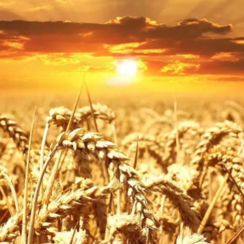 Val de caniculă în această vară în România, în următoarele patru săptămâni