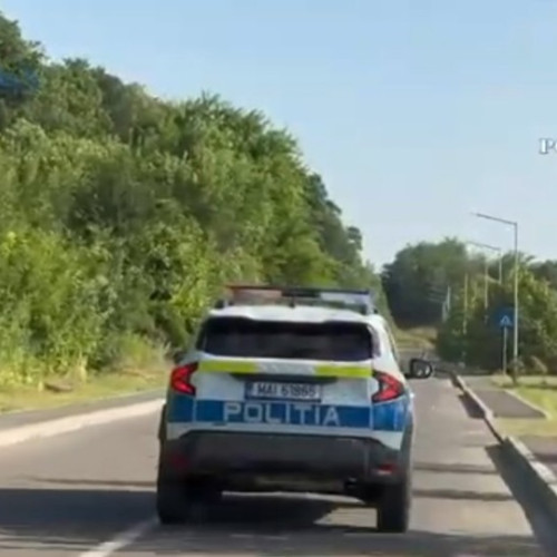 10 persoane sunt reținute în cadrul unei anchete privind falsificarea documentelor legate de transportul lemnului în Arad