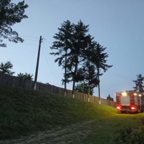 O locuință din comuna Cășula a fost la un pas de dezastru după ce un incendiu a izbucnit în apropierea unui instant de apă caldă alimentat cu gaz, potrivit monitorulbt.ro. Flăcările au fost observate la timp, iar intervenția promptă a pompierilor a împiedicat extinderea focului și a salvat casa de la distrugere.