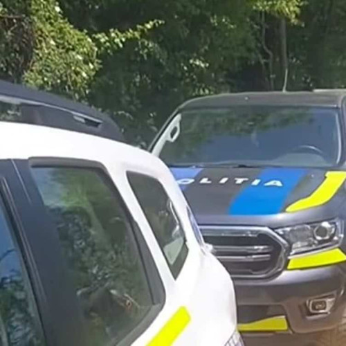 Poliția Alba face precizări privind relocarea a mai multor câini dintr-un adăpost, după ce cazuri similare au fost mediatizate pe rețelele de socializare. Potrivit informărilor, animalele au fost relocate în condiții considerate dificile, cu temperaturi de peste 30 de grade, într-o mașină cu prelata și fără ventilație, conform notează alba24.ro.